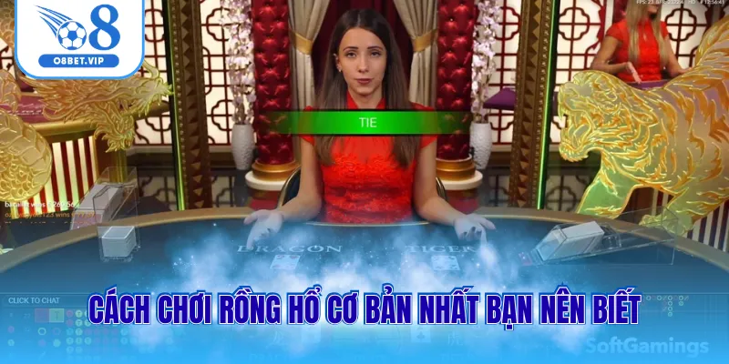 Cách chơi rồng hổ cơ bản nhất bạn nên biết